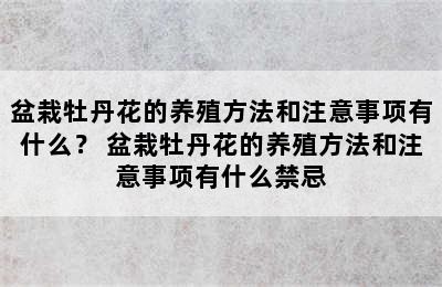 盆栽牡丹花的养殖方法和注意事项有什么？ 盆栽牡丹花的养殖方法和注意事项有什么禁忌